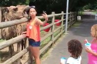 حديقة الحيوان