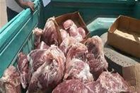 اعدام لحوم بالمنيا