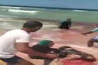 صورة من الفيديو