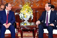 فيتنام  ومصر