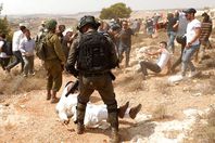 الاحتلال يعتدي على فلسطينيين مناهضين للاستيطان