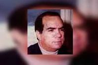 عبد العال الباقورى