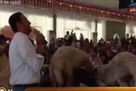 صورة من الفيديو