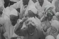 صورة من الفيديو