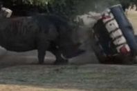 صورة من الفيديو