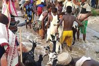 جانب من أضرار الفيضان