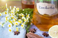 شاي " الكومبوتشا "