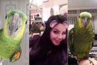 فيديو صادم.. ببغاء لجين عمر يشتمها :"يا حيوانة"