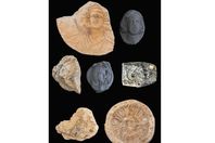 بقايا ضاحية سكنية و تجارية بالإسكندرية
