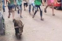 301996268_2224045751091541_2226678071514414656_n