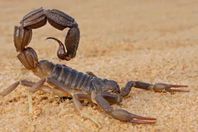 Screenshot 2025-08-16 065520