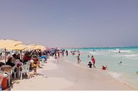 19_2024-638567606228522442-852