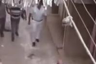 7123160596920250825090713713