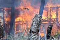 حريق بمزرعة دواجن بإيتاي البارود يلتهم 800 كتكوت