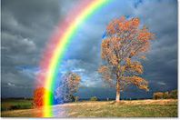 الإندبندنت: اكتشاف لونا ثامنا في قوس قزح