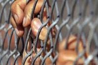 بدء محاكمة يوسف والي وآخرين في قضية "جزيرة البياضية"