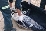 العثور على جثة داخل مركب صيد ببني سويف