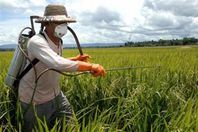 مصادرة 370 عبوة مبيدات زراعية مجهولة المصدر