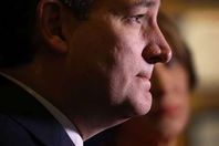 السيناتور تيد كروز