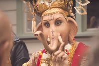 اعلان لحوم استرالى الذى احتجت عليه الهند