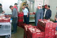 لحوم صكوك الأضاحي