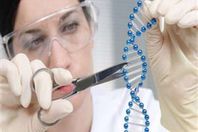 أجنة تحت الطلب