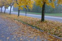 بدء فصل الخريف غدا