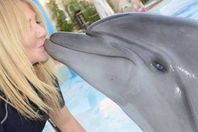 ندي بسيوني والدولفين