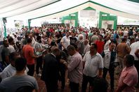 إستقبال طلبات مرشحي إنتخابات مجلس إدارة النادى المصرى