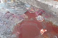 بقايا دماء الأضاحي بشوارع بورسعيد