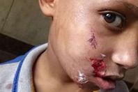 رعب أهالي الغربية