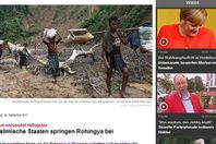 صورة الخبر الأصلي