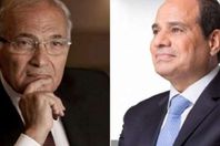 السيسى و شفيق