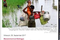 صورة الخبر الأصلي