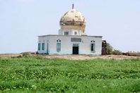 ضريح ببورسعيد