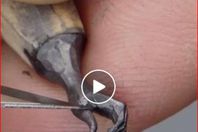 صورة لنحت الدقيق 
