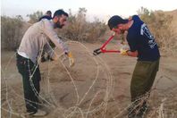 إسرائيل تفتح ممرات إلى سيناء أمام الفئران والحيوانات المفترسة