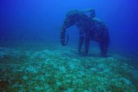 قبلة السياح بمصر..متحف للنفايات تحت الماء