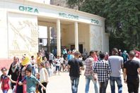 مفاجأة عن إشاعة رفع تذاكر حديقة الحيوان