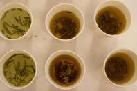 الشاي الأخضر