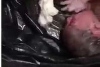 طفل حديث الولادة