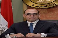 المستشار أحمد حافظ