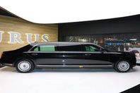 مرسيدس بوتين