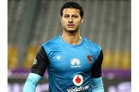 محمد الشناوي