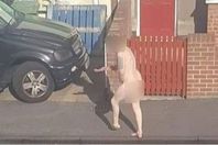 119202340_667905387494446_10269139698482429_n