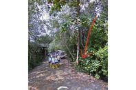 received_602773047271838