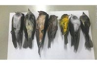 received_782833169170759