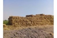 FB_IMG_1600452170633