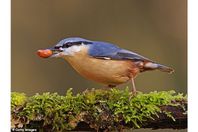 33381218-8751307-image-a-1_1600548553824