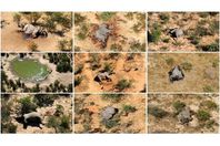 5f68bd3f423604226e262851